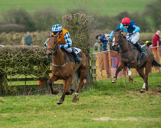 Pony Race 3 (37 of 67)