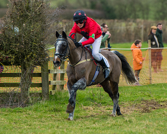 Pony Race 1 (39 of 101)