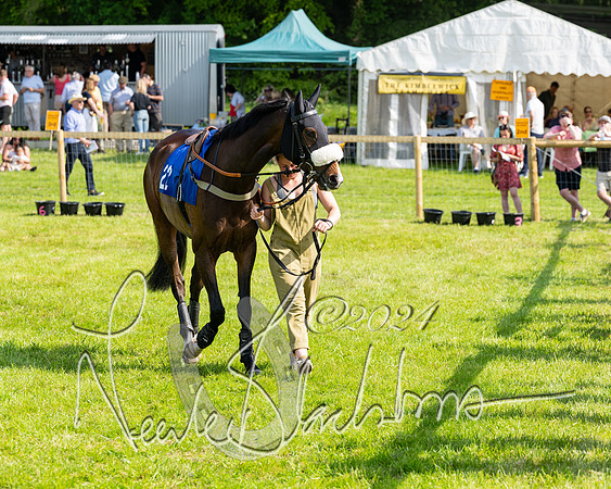 Race 5  - Maiden race 2m5F Div-1 (27 of 197)