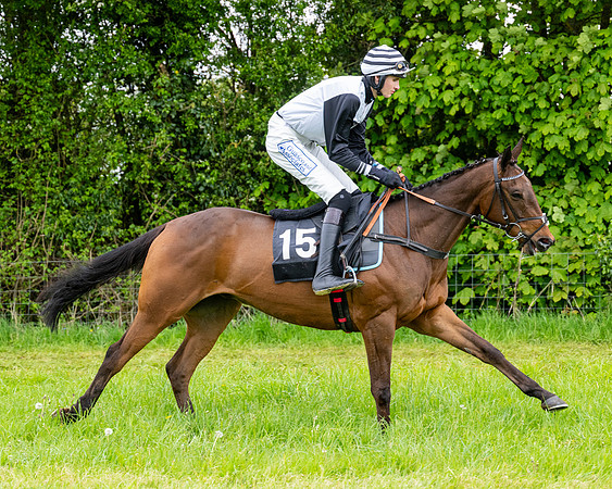 Race 3 - Young Horse Maiden (16 of 216)