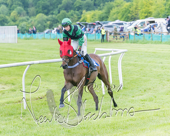 Race 4 - Mixed Open (92 of 591)