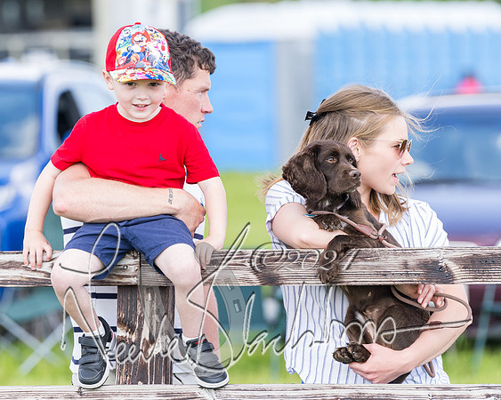 Race 4 - PPORA Novice Riders Final  (53 of 362)