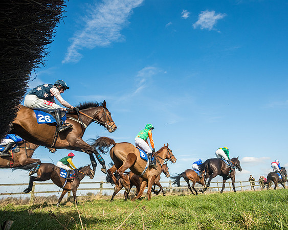 Race 1 - Open Maiden Division 1 (95 of 170)