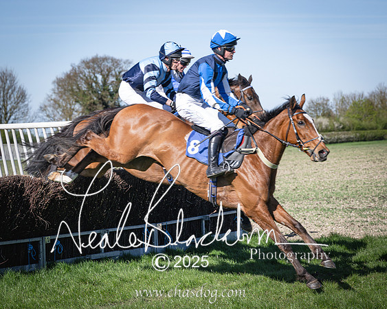 Race 6 - Veteran horse (56 of 109)