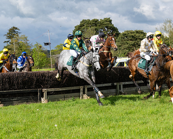 Race 5  - Maiden  (21 of 84)