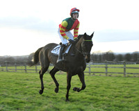 TVRC - Young Horse Maiden Division 2