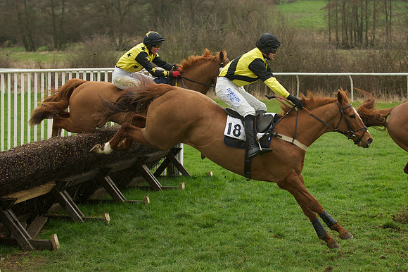 Race 5 - 33