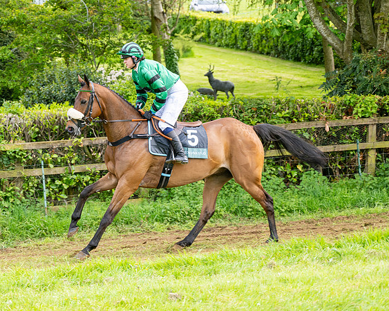 Race 5  - Novice riders (39 of 188)