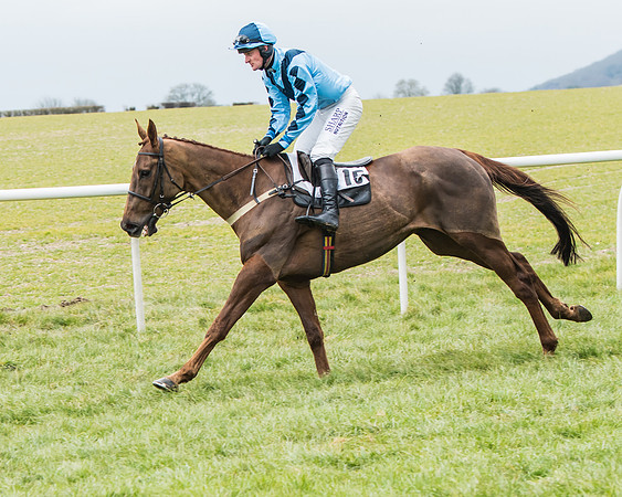 KBRC at Kingston Blount