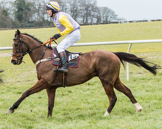 KBRC at Kingston Blount