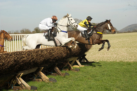 Race 2 Open Maiden Div 1 -  49