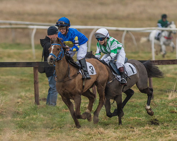 Suffolk Hunt