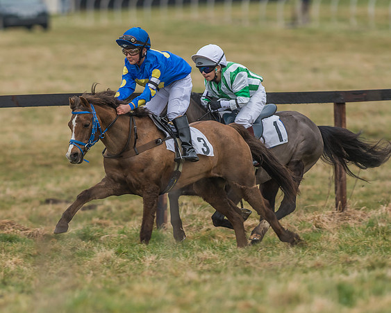 Suffolk Hunt