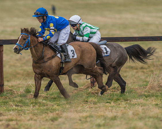 Suffolk Hunt