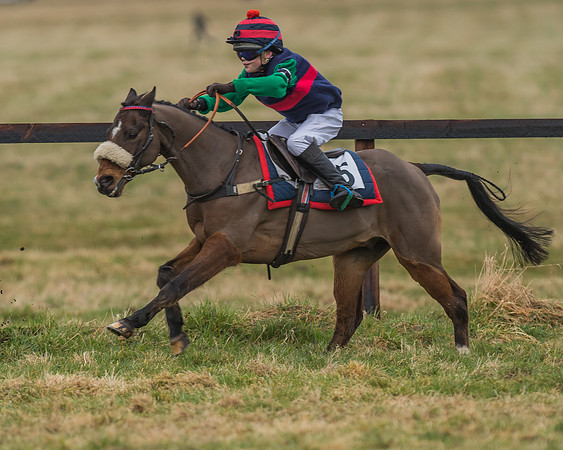 Suffolk Hunt