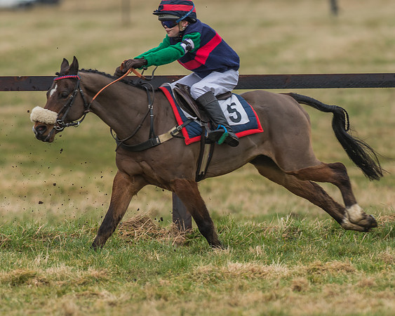 Suffolk Hunt