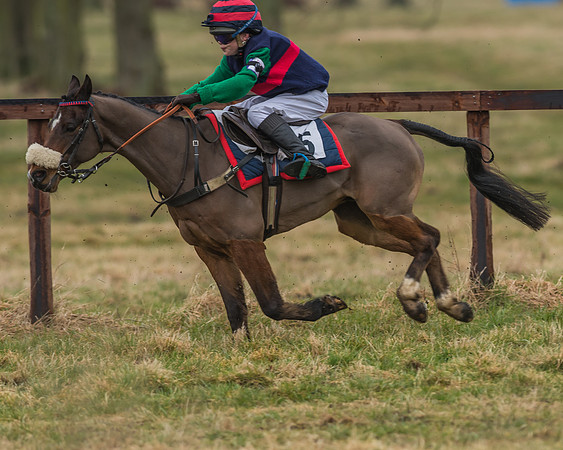 Suffolk Hunt