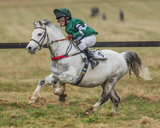 Suffolk Hunt