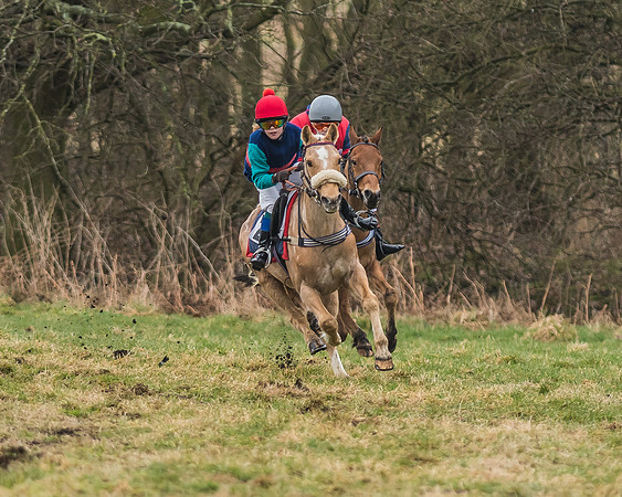 Suffolk Hunt