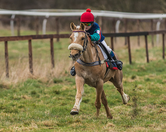 Suffolk Hunt