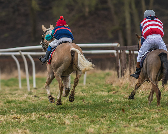 Suffolk Hunt