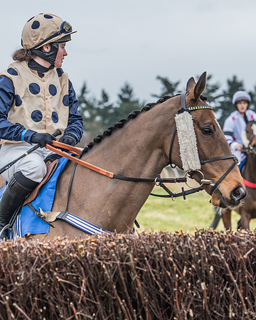 Suffolk Hunt