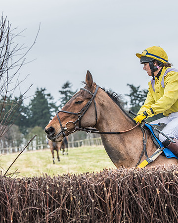 Suffolk Hunt