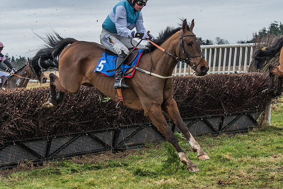 Suffolk Hunt