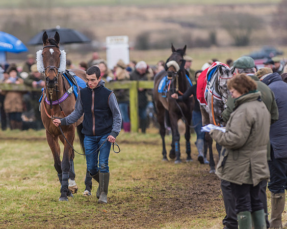 Suffolk Hunt