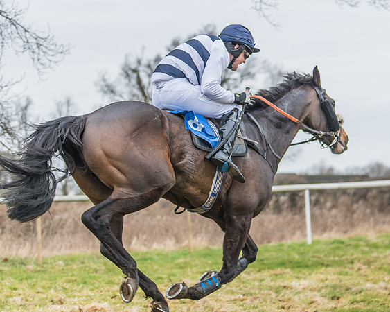 Suffolk Hunt