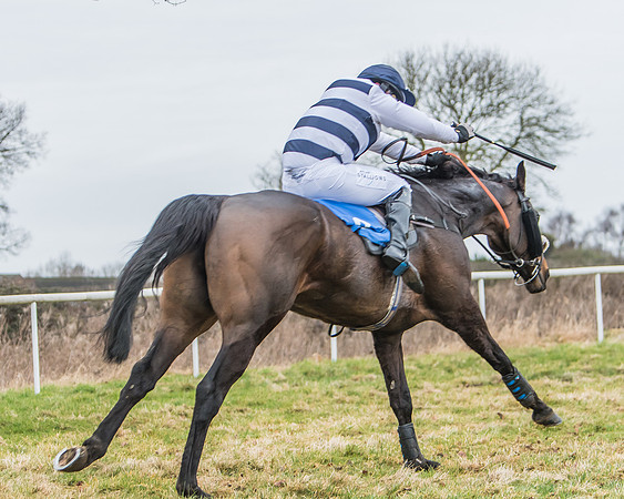 Suffolk Hunt