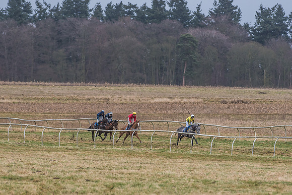 Suffolk Hunt