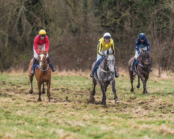 Suffolk Hunt