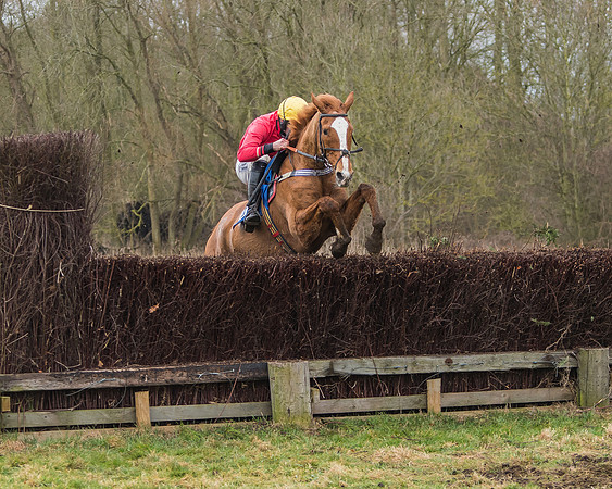 Suffolk Hunt