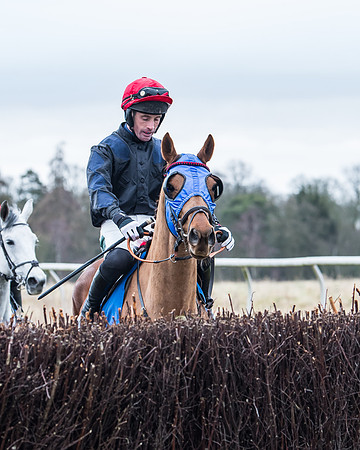 Suffolk Hunt