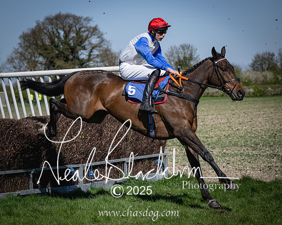 Race 2 - The Maiden (64 of 118)-2