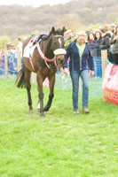 Race 4 - Nov-vets 6
