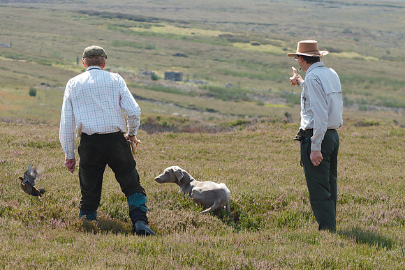 WCGB-27JUL-2013 Grouse Test Day  15
