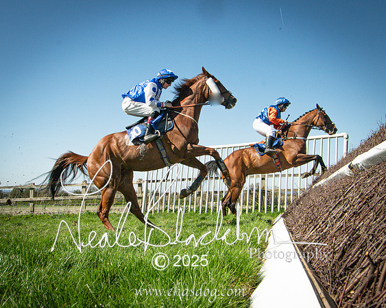 Race 4 - Mixed Open (129 of 168)