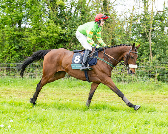Race 2 - 2M4F Conditions (66 of 195)