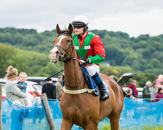 Race 2 - PPORA Novice Riders  (50 of 187)