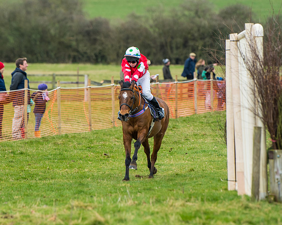 Pony Race 2 (49 of 162)