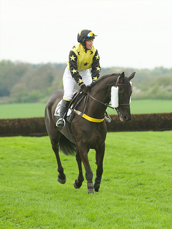 Race 3 - 4-5-6 Maiden 8