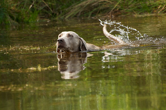 WCGB-04AUG-2013 Water Training Day 220