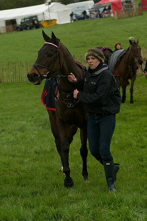 Race 8 - Pony Race 2 -  1