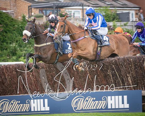 Race 1 - Pointing Pointers Restricted Final (39 of 79)