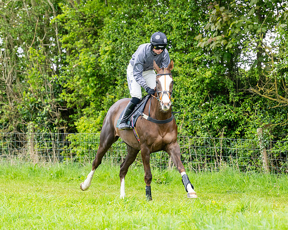 Race 3 - Young Horse Maiden (2 of 216)