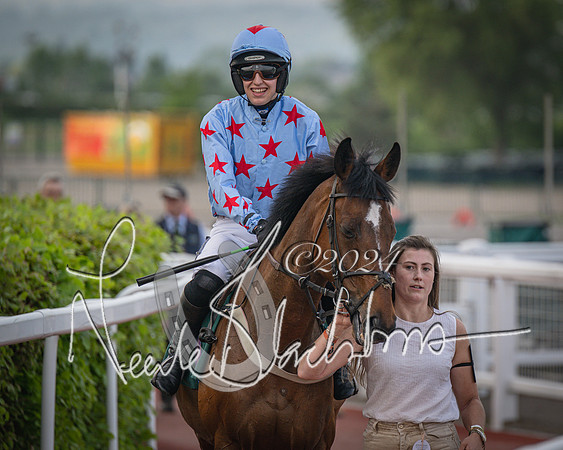 Race 5 - Mares Open Hunter Steeplechase 3m2f 70y (62 of 269)