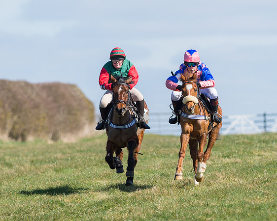 Oakley Ponies (39 of 96).jpg