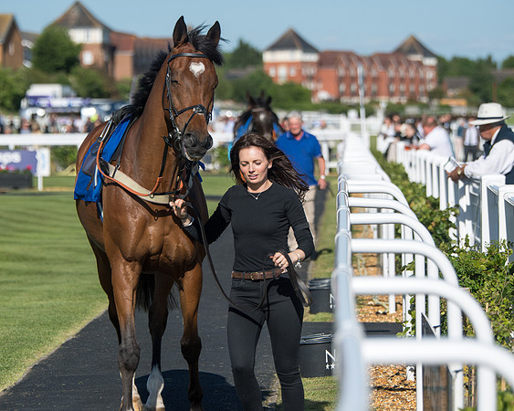 Race 1 - PPSA Open Hunter chase (7 of 78)
